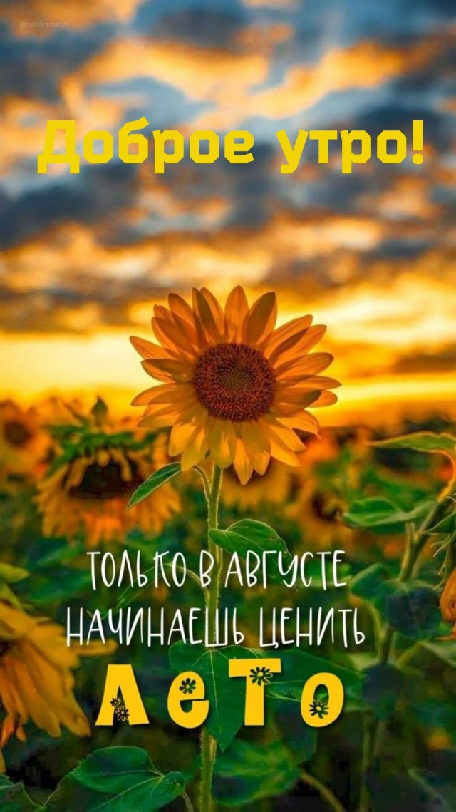 Прикольные и просто красивые картинки 29.08.2025