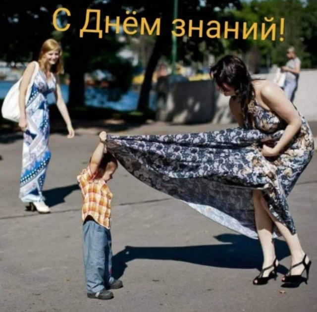 Картинки для деградации 33 (разной степени свежести)