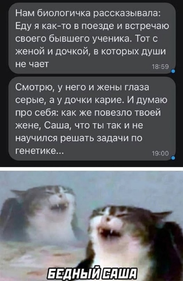 Так себе картинки 16.10.25