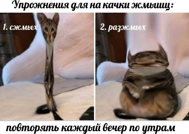 Небаянистая деградация 2