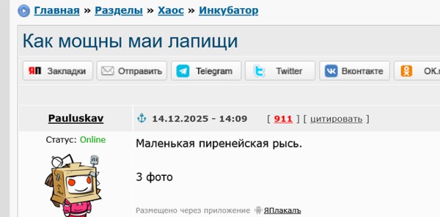 Как мощны маи лапищи