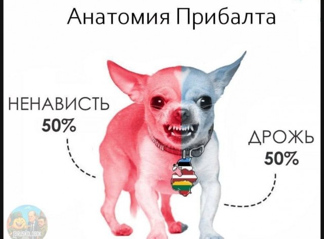 Mash: Прибалтика открыла небо для ударов украинских БПЛА по Петербургу
