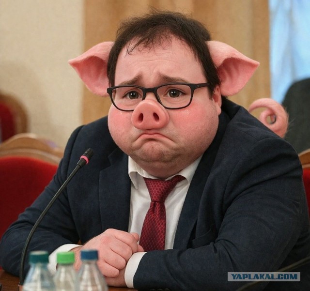 Совещание в Минцифры уже аукается рынку: часть ИТ-проектов приостановлена
