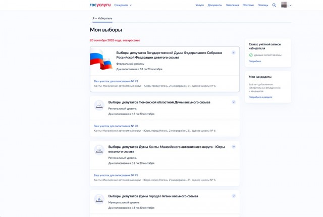 Выборы онлайн