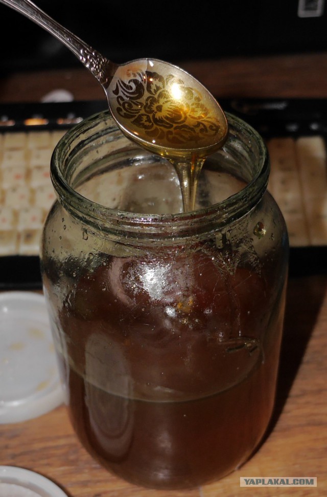 Как проверить мёд