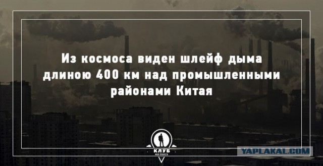 13 удивительных фактов о планете