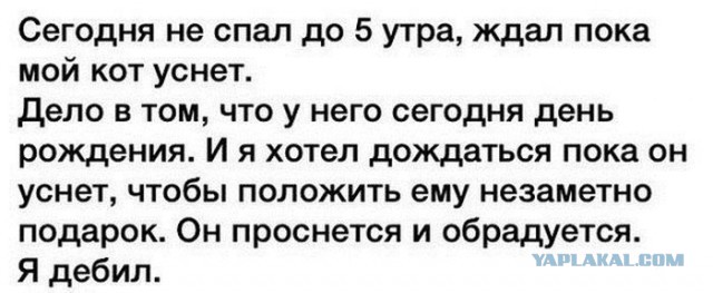 Картинки из сети