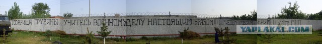 34 правдивых надписей на стенах