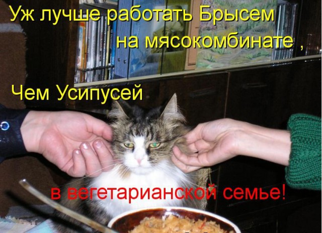 Я не веган!