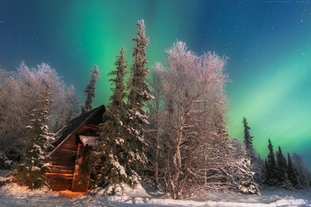 Лучшие фотографии National Geographic 2015