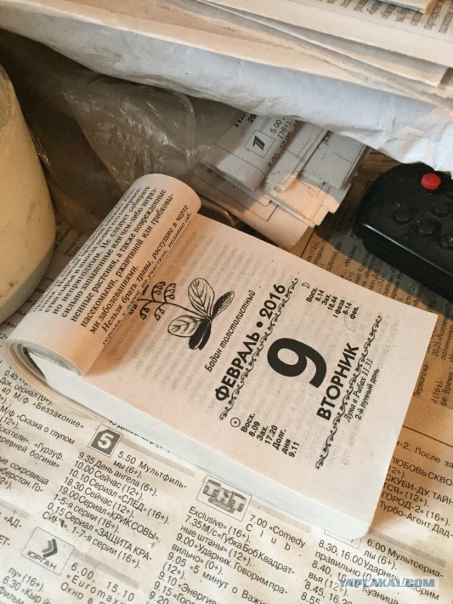 Я узнал, что у меня есть огромная семья