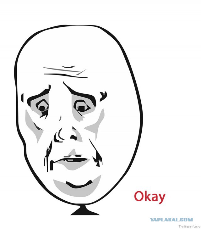 Похоже мой кот забыл как сидят коты