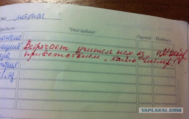 Записи в школьных дневниках