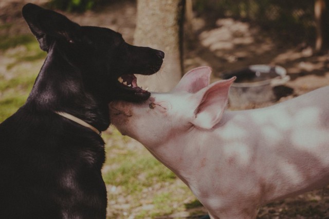 Подборка интересных и веселых картинок