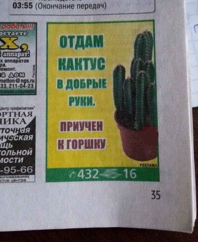 Я понятия не имею, что здесь происходит