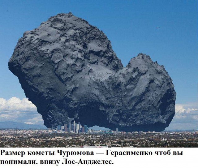 Моменты, запечатлённые на фото и просто позитив 5