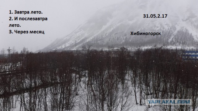 Чёрный юмор к началу летнего сезона