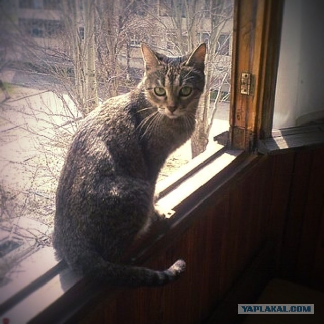 Пришёл попрощаться