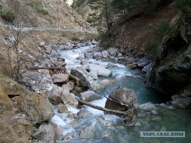 Просто Природа