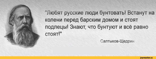 Обманутые дольшики на коленях просят помощи у Путина.