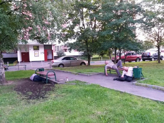 Скотсети и прочие интернеты 18.06.18
