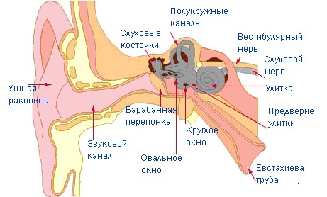 Аудиофилии пост. Вся правда о бескислородной меди в проводах аудиофилов