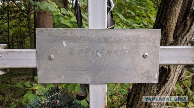 Самолётики выходного дня