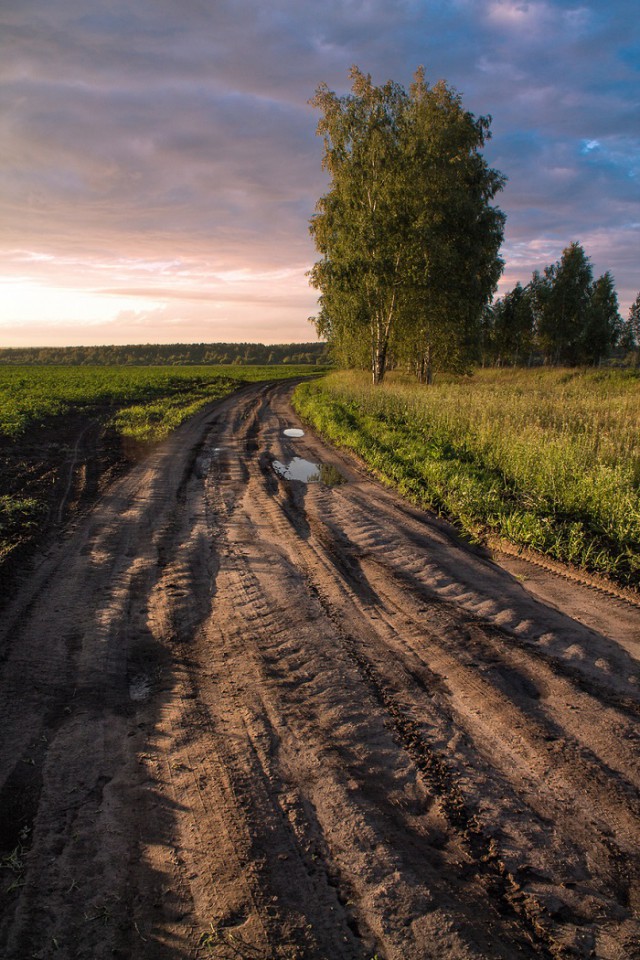 Красота сельских дорог
