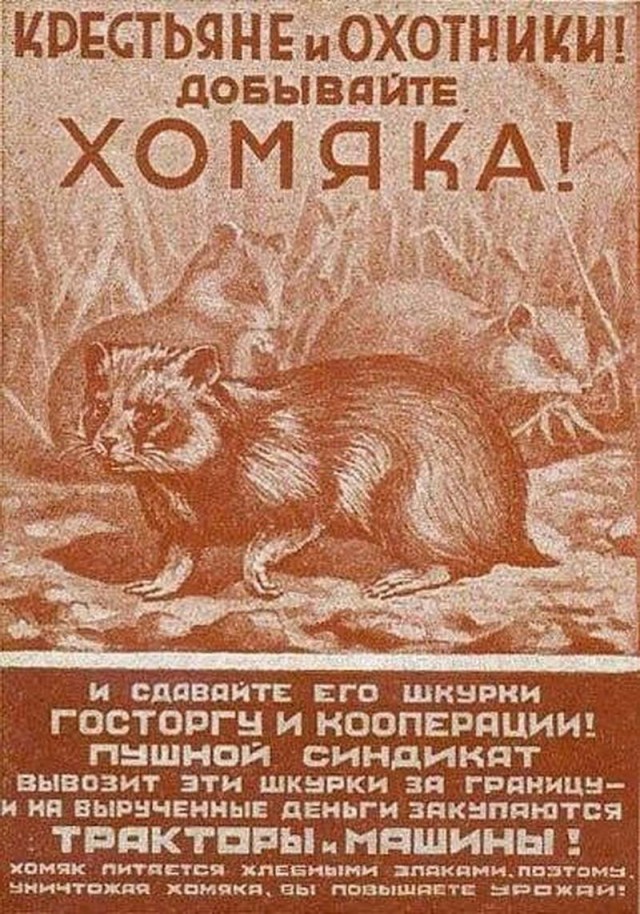 Как соблазнить девушку покачивая перьями на шляпах или рак мозгом заболееет
