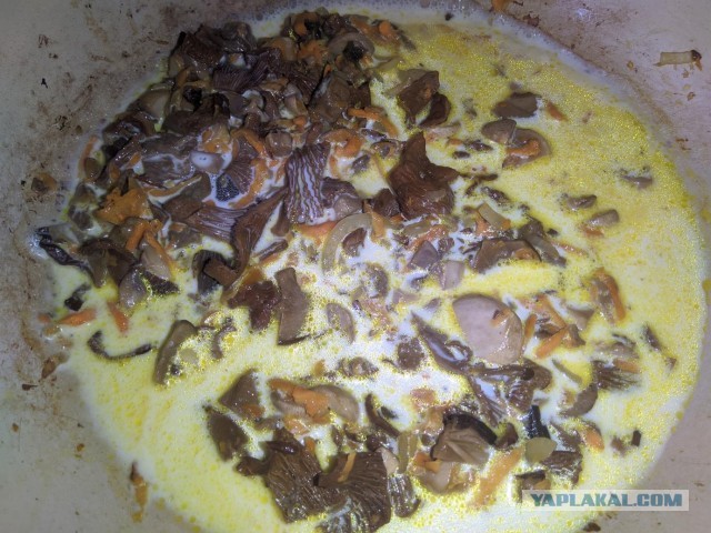 Лепешка, с грибами и сыром.