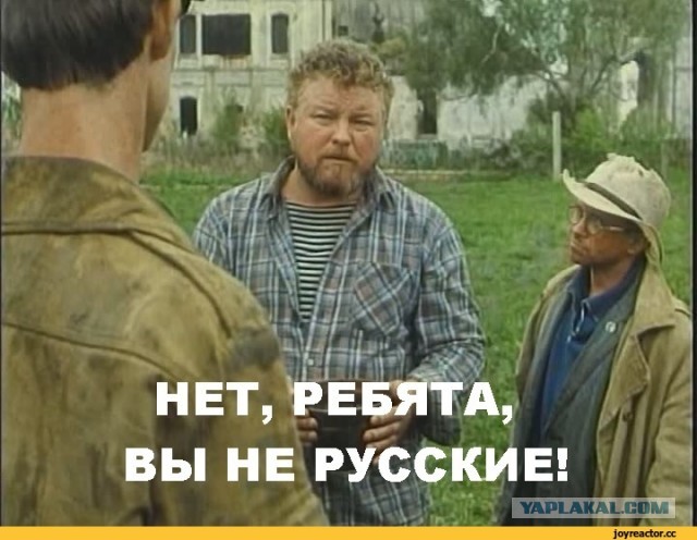 Полиция, русские, негры...
