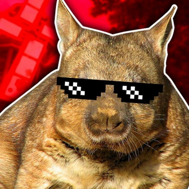 Ученые наконец-то выяснили, почему у вомбатов квадратные какашки