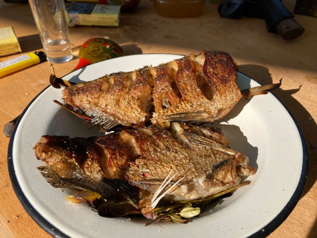 Лето, речка, караси