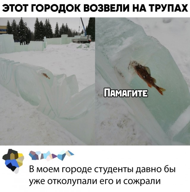Картинки и мемы для настроения 14.04.2021