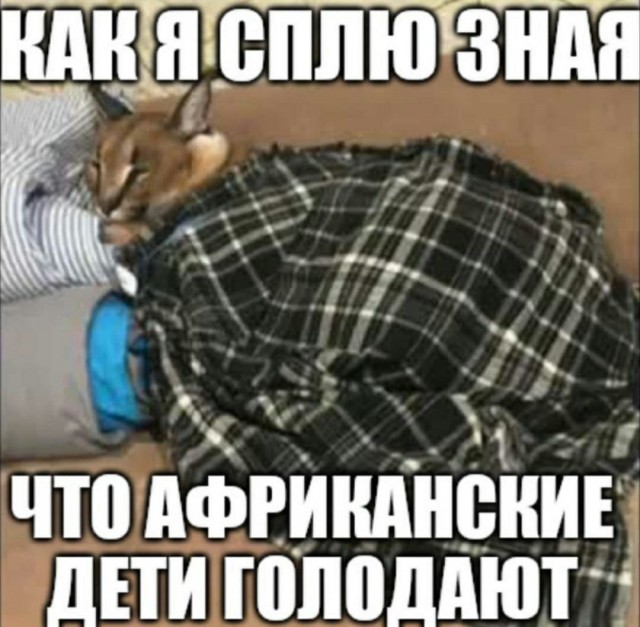 Аморальная деградация