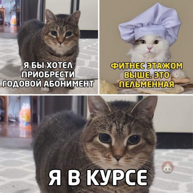 Юмор и прикольные картинки 11.10.2021