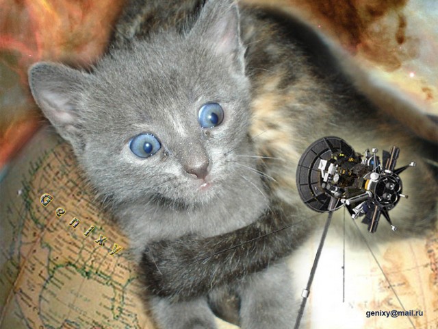 Фотошопил однако