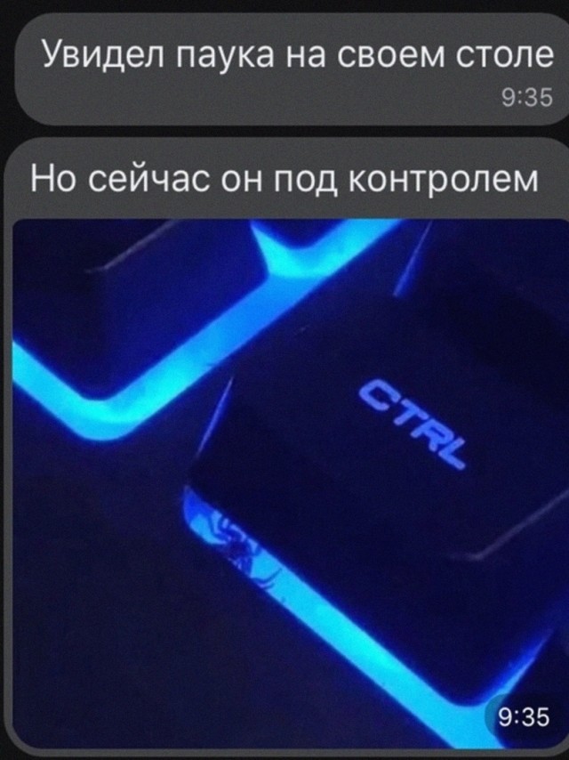 Чуток картинок 16.12.21