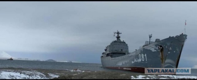 Где-то на Чукотке. Высадка наших Войск. 28.02.2022