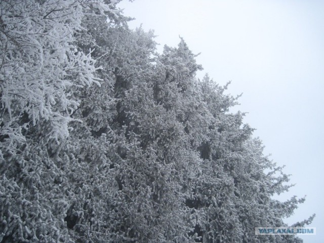Алматы 2011: город контрастов