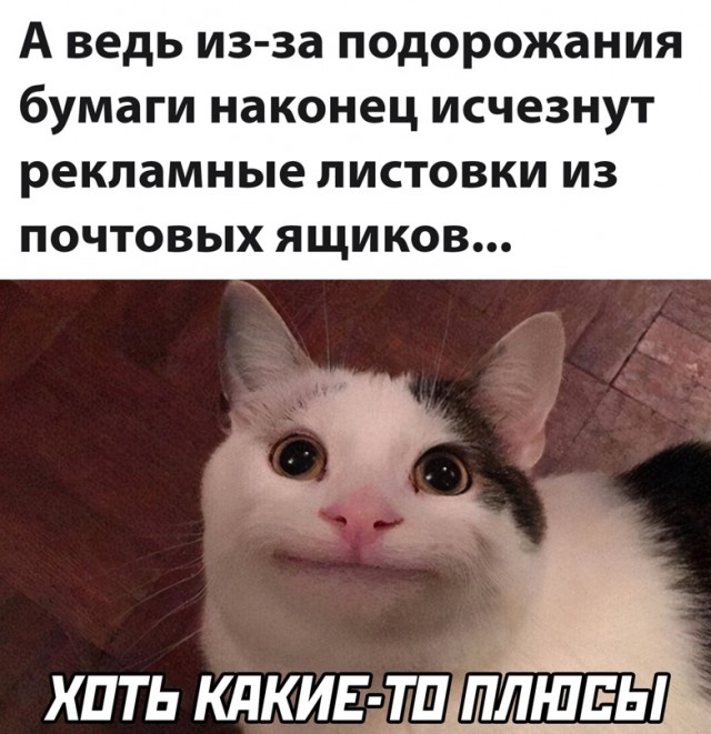 Весёлый полтишок 28.03.22
