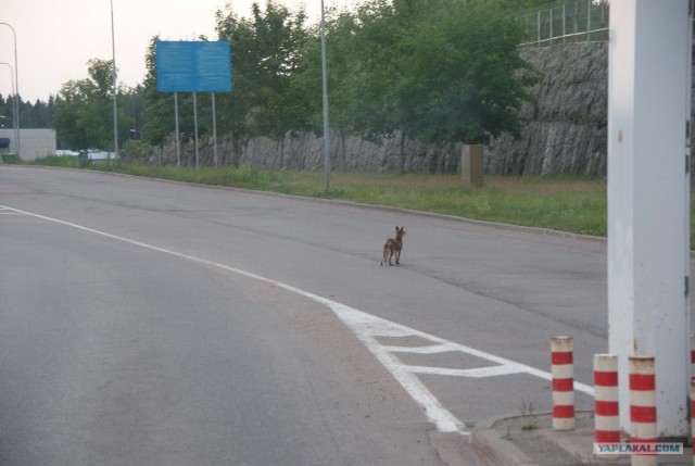 Наш отпуск во Франции
