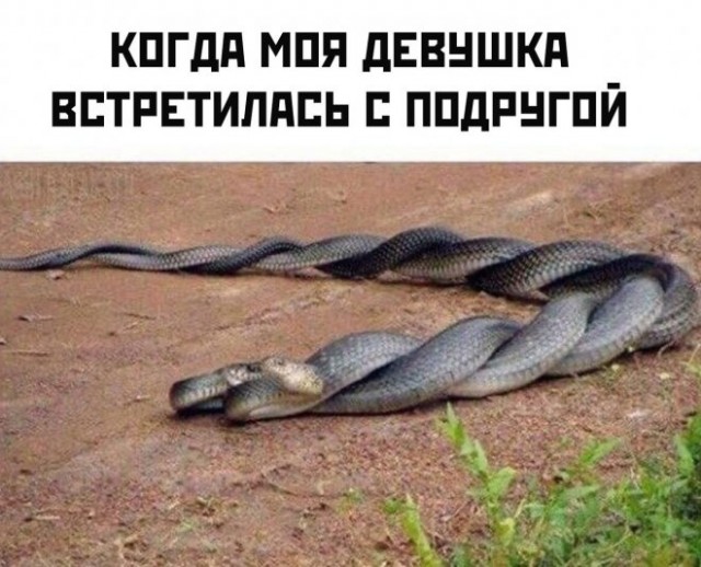 Картинки и мемы, всем хороших выходных