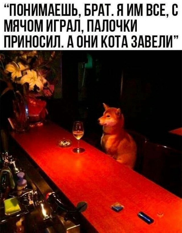 Картинки и мемы. Выходные близко...