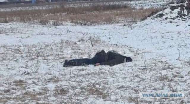 Под Бахмутом зажмурили шестерых грузин, воевавших за ВСУ