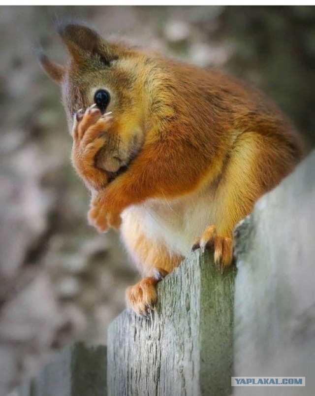 Скайнет уже здесь