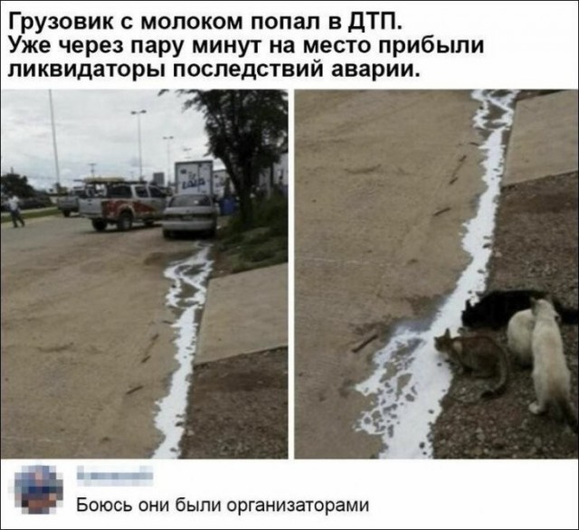 Забавные комментарии из социальных сетей (17.07.23)