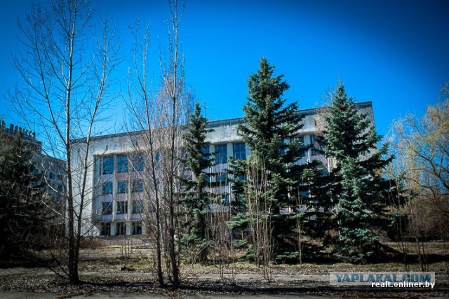 Репортаж из зоны отчуждения: