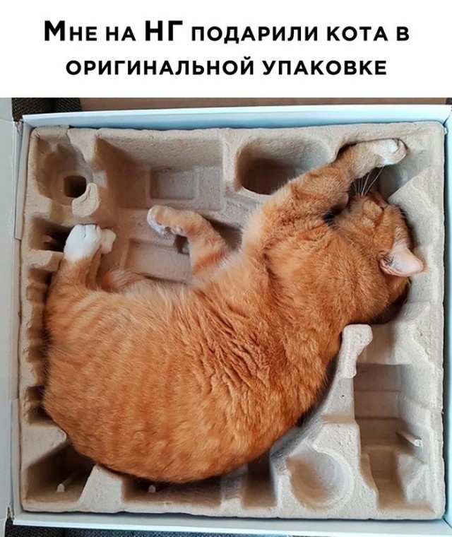 Разное