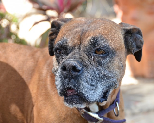 Крутой байкер!